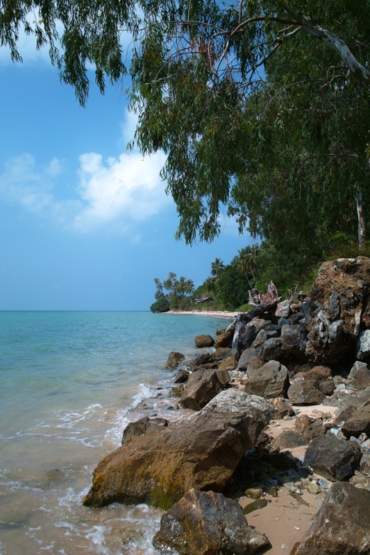Остров Samui on-line (12.01.2009 - 05.05.2009)