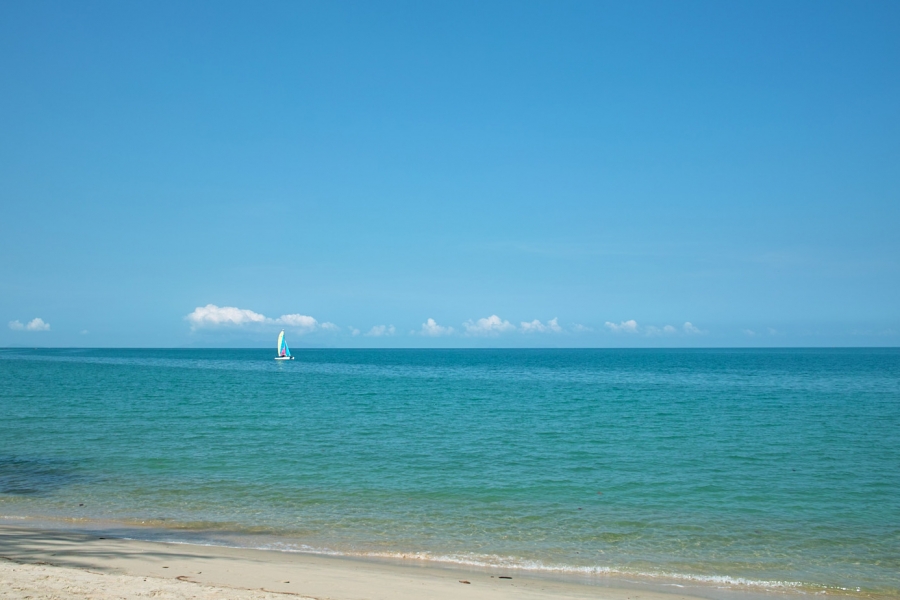 Остров Samui on-line (12.01.2009 - 05.05.2009)