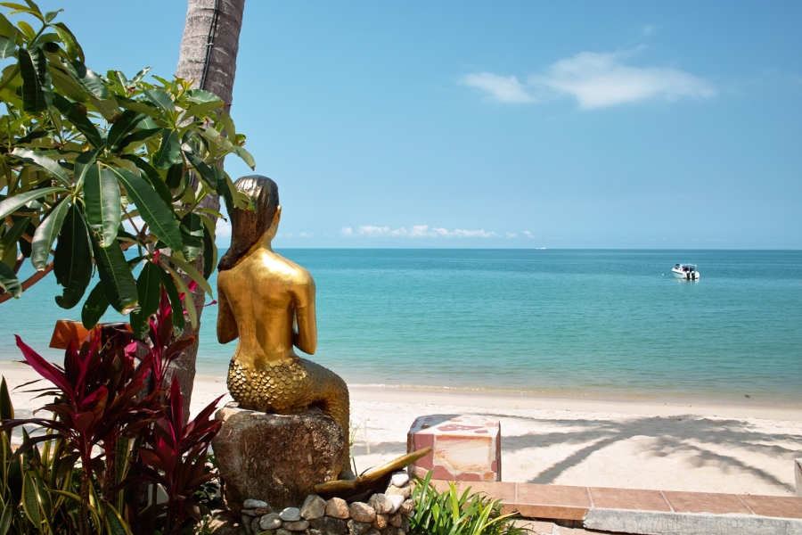 Остров Samui on-line (12.01.2009 - 05.05.2009)