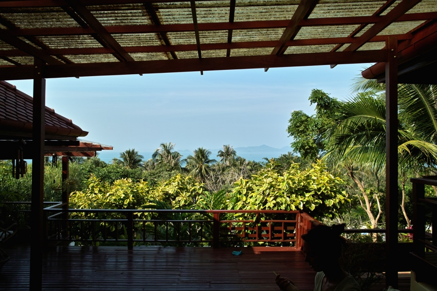 Остров Samui on-line (12.01.2009 - 05.05.2009)