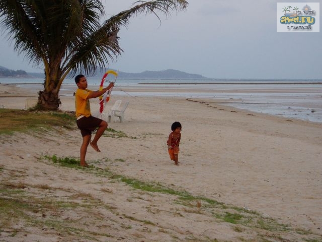 Samui Orchid Resort - Koh Samui