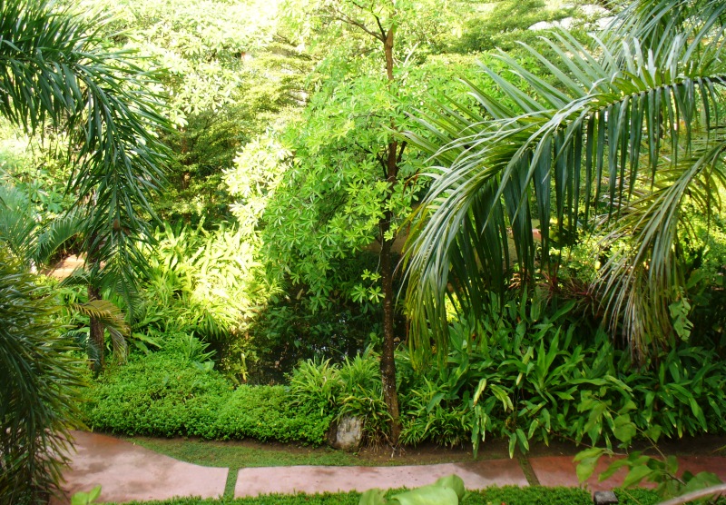 ПТТ-Чанг-БКК (+ немного фото из прошлых поездок) ПТТ-Чанг-БКК (+ немного фото из прошлых поездок)