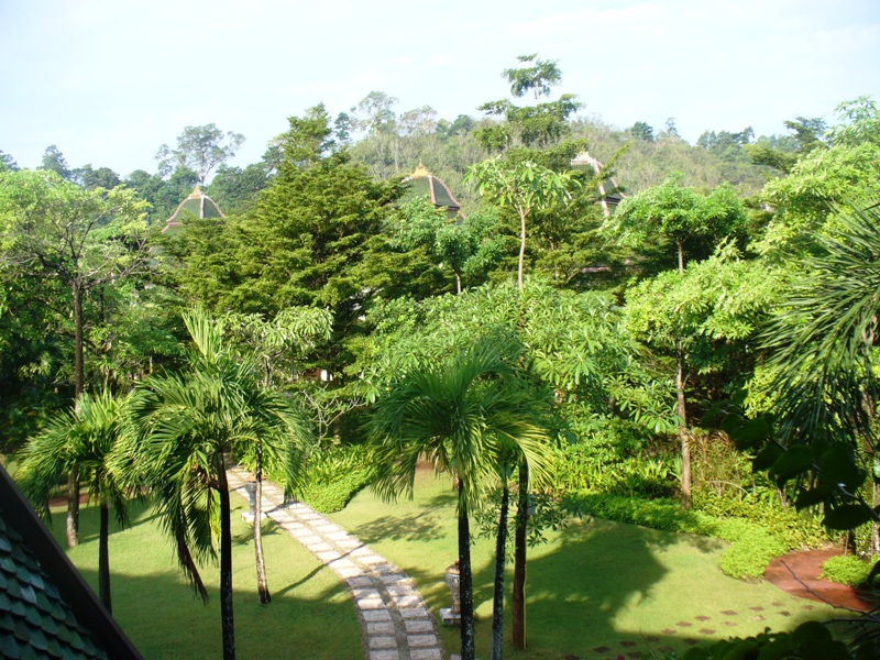 ПТТ-Чанг-БКК (+ немного фото из прошлых поездок) ПТТ-Чанг-БКК (+ немного фото из прошлых поездок)