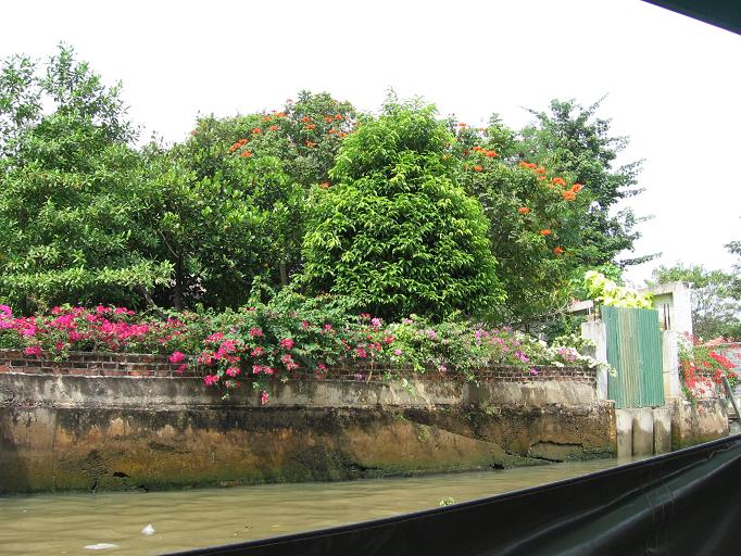 Свадебное путешествие и первая самостоятельная поездка в Тай