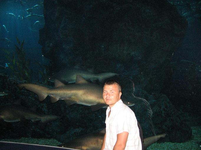 Свадебное путешествие и первая самостоятельная поездка в Тай