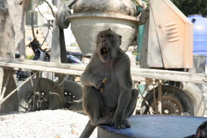 Пхетчабури фото-отчет.