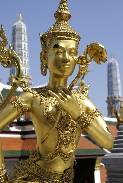 Таиланд 2008: джунгли и море