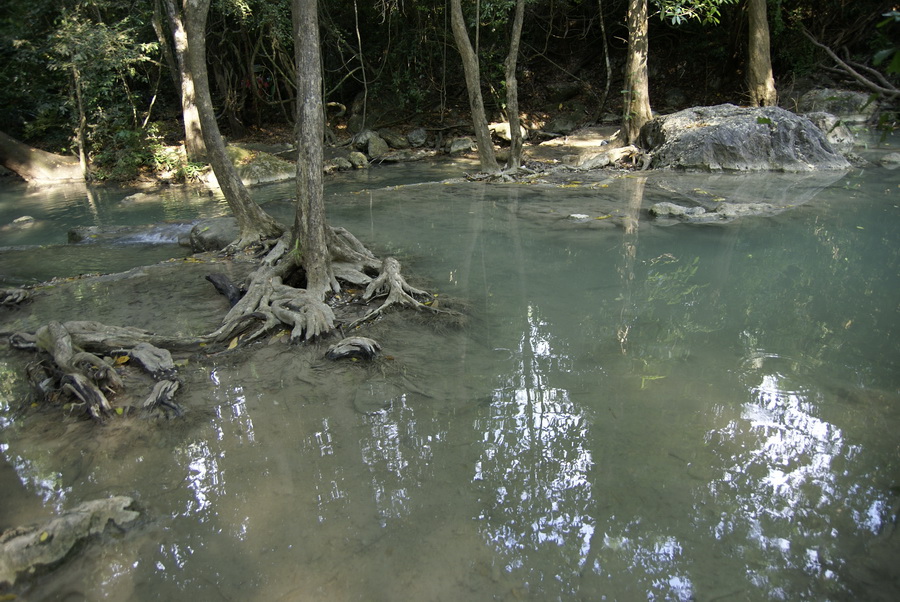 Таиланд 2008: джунгли и море