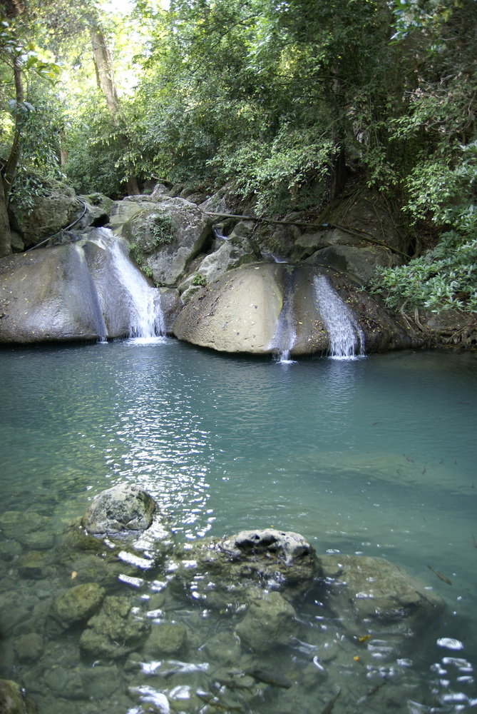 Таиланд 2008: джунгли и море