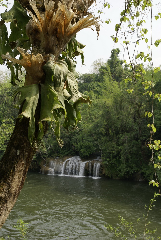 Таиланд 2008: джунгли и море