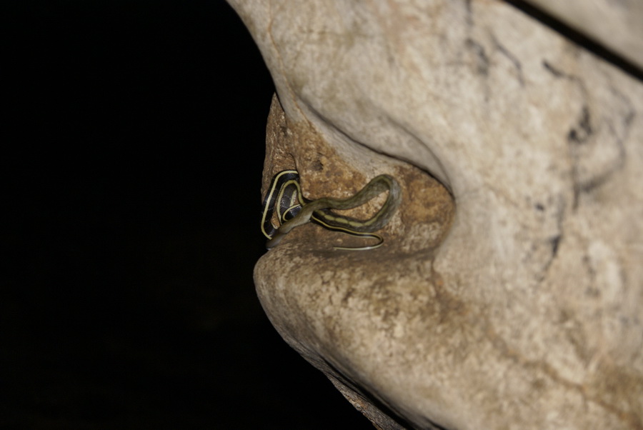 Таиланд 2008: джунгли и море