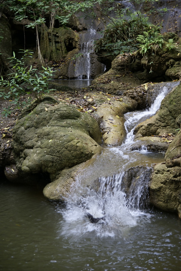 Таиланд 2008: джунгли и море