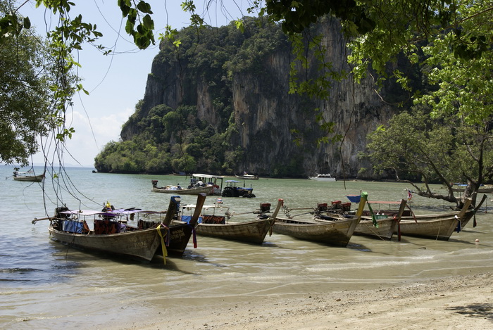 Таиланд 2008: джунгли и море