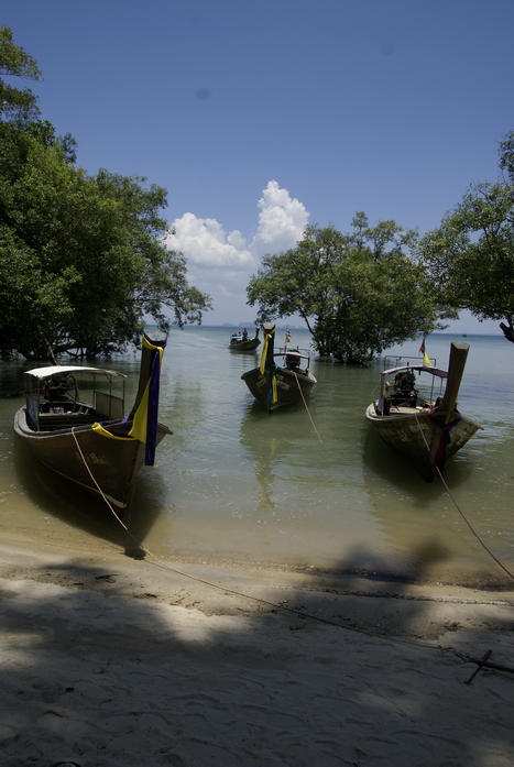 Таиланд 2008: джунгли и море