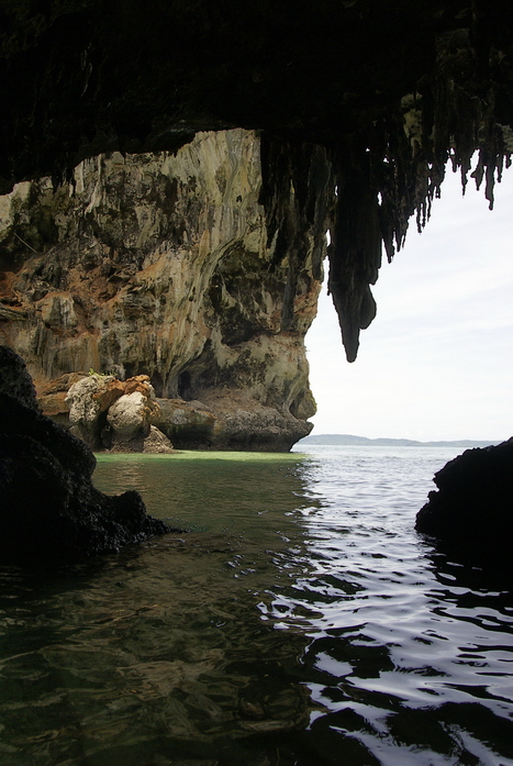 Таиланд 2008: джунгли и море