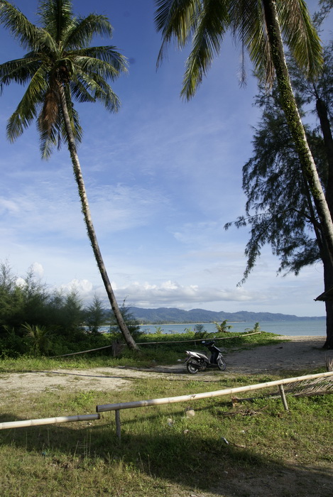 Таиланд 2008: джунгли и море