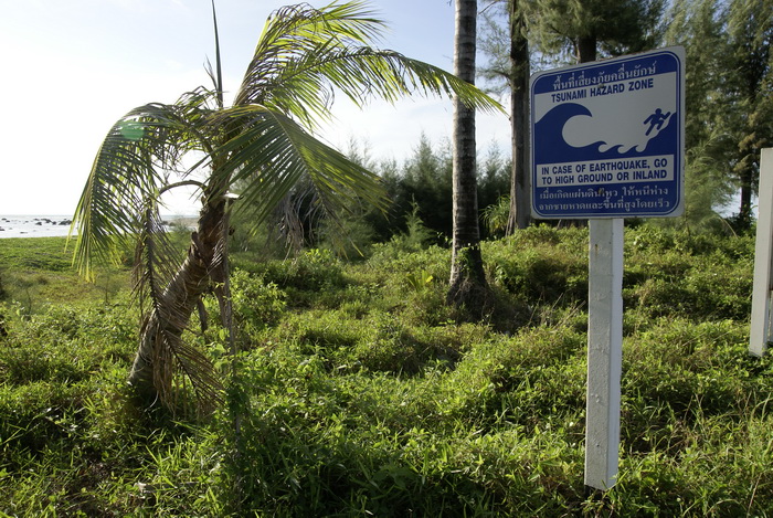 Таиланд 2008: джунгли и море