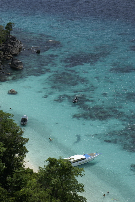 Таиланд 2008: джунгли и море