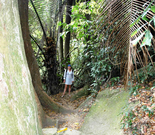 Отчет : Бангкок-Самуи-Краби(Райли)-Пукет-БКК. Март 2009г