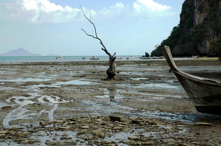 Отчет : Бангкок-Самуи-Краби(Райли)-Пукет-БКК. Март 2009г
