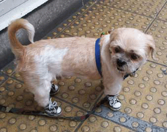 Отчет : Бангкок-Самуи-Краби(Райли)-Пукет-БКК. Март 2009г