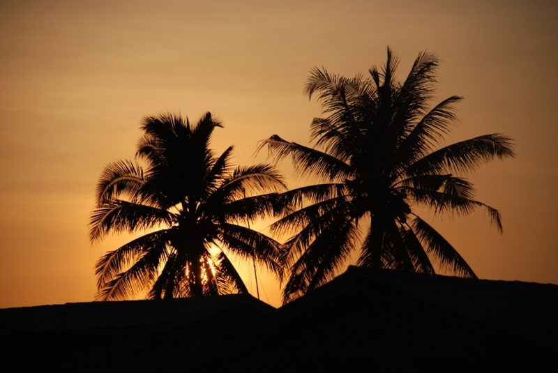 Самуи, Ко Тао - самостоятельное путешествие (янв. 2009)