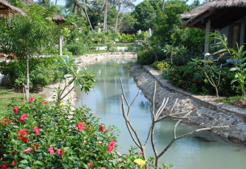 Самуи, Ко Тао - самостоятельное путешествие (янв. 2009)