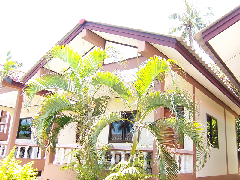 СингхаТур-2008