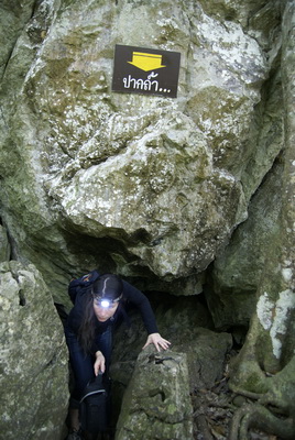 Таиланд 2008: джунгли и море