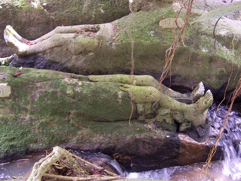 СингхаТур-2008