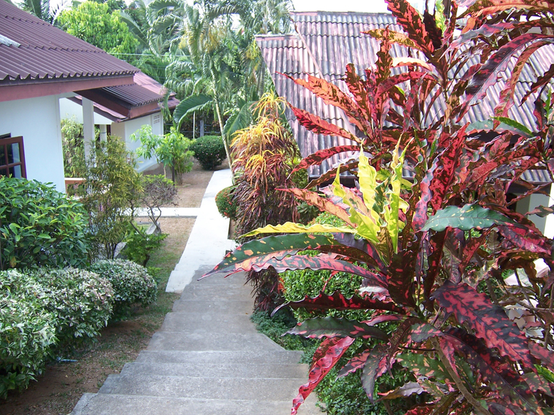 СингхаТур-2008