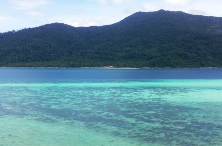 Муки выбора - Тао или Липе