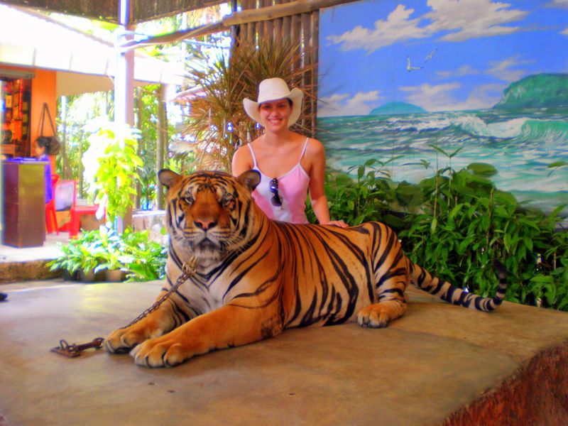 Мой Тай - с задержкой в год (ПТТ-Чанг-Кут-ПТТ)