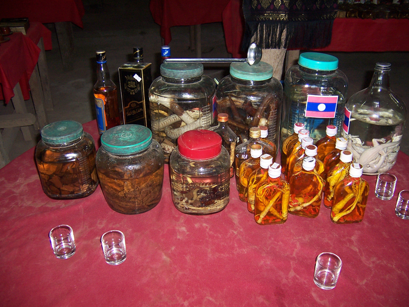 СингхаТур-2008