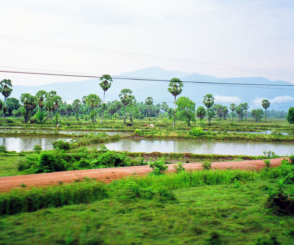 Несколько фоток юга Таиланда из окна поезда