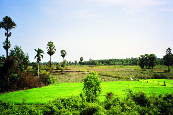 Несколько фоток юга Таиланда из окна поезда