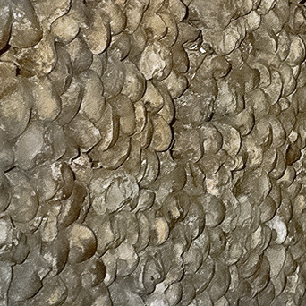 Фотозагадки