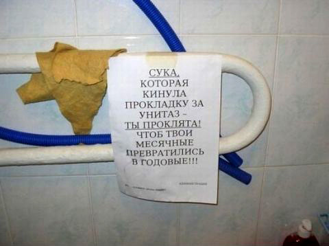 Картинка дня