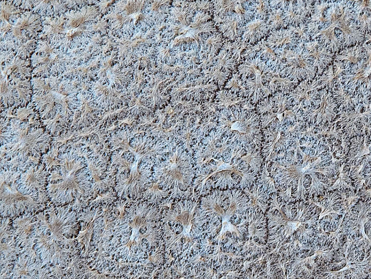 Фотозагадки