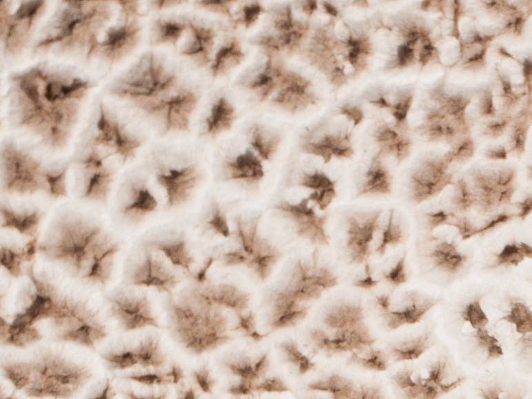 Фотозагадки