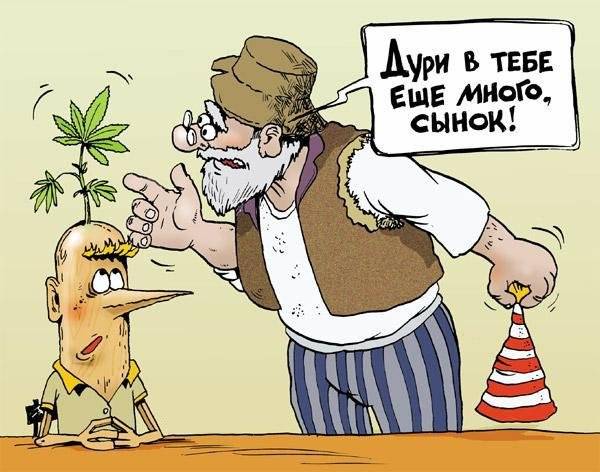 С травой не страшен и Альцгеймер