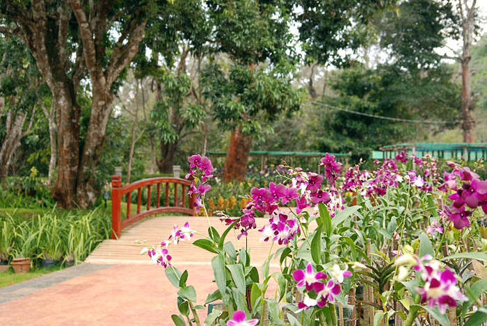 Мьянма - прекрасная жопа мира! (много букв и картинок) Мьянма - прекрасная жопа мира! (много букв и картинок)