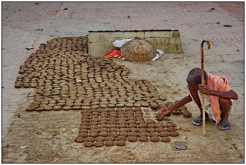 Их быт и их нравы: повседневная жизнь в фотографиях