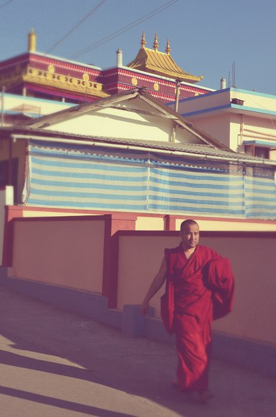 Увидеть Далай Ламу 14 и улететь из Индии с третьей попытки (мнооого фото)
