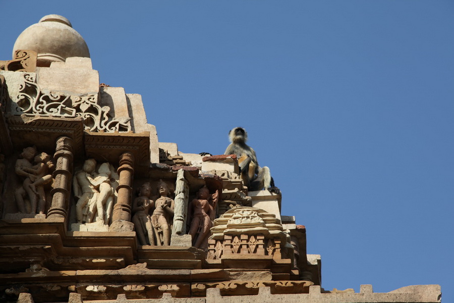 Индия. Там, где нет золотой середины. Индия. Там, где нет золотой середины.