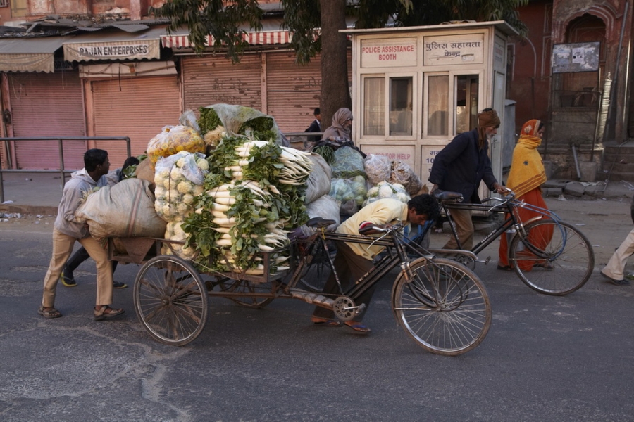 Индия. Там, где нет золотой середины. Индия. Там, где нет золотой середины.