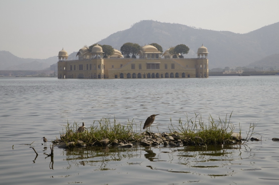 Индия. Там, где нет золотой середины. Индия. Там, где нет золотой середины.