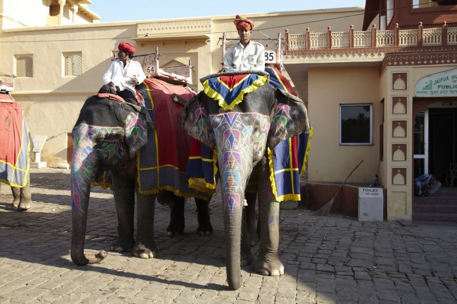Индия. Там, где нет золотой середины. Индия. Там, где нет золотой середины.