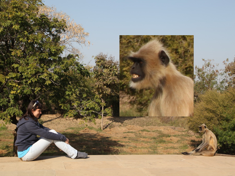 Индия. Там, где нет золотой середины. Индия. Там, где нет золотой середины.