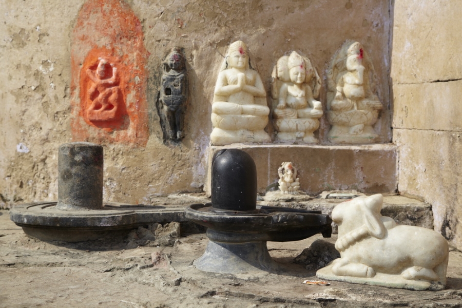 Индия. Там, где нет золотой середины. Индия. Там, где нет золотой середины.